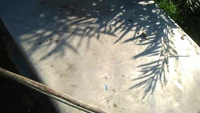 скворцы едят черешню, что делать смотреть онлайн