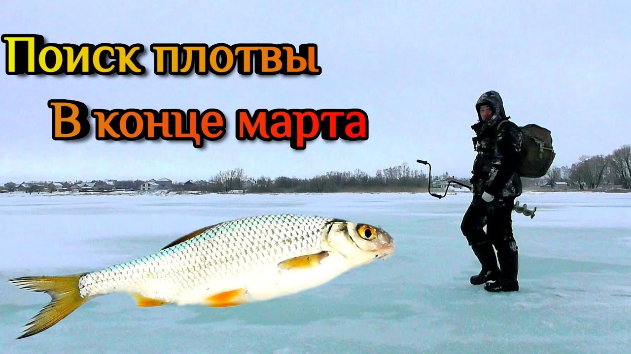 ПОИСК ПЛОТВЫ В КОНЦЕ МАРТА!.mp4