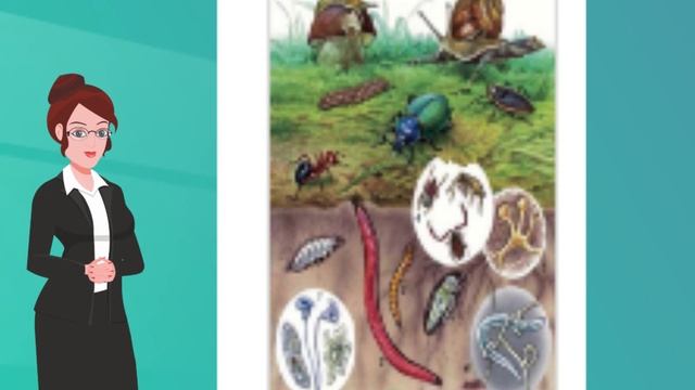 III четверть, Естествознание, 3 класс, урок № 35 смотреть онлайн