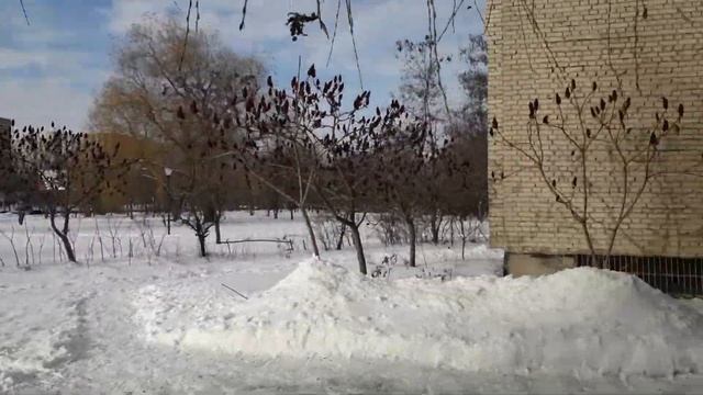 Бесплатное обеспечение "Форвард Орто". Харьковская 43, Сумы смотреть онлайн