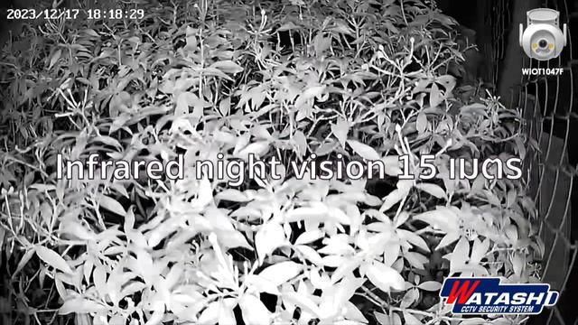 ภาพจากกล้อง #วาตาชิ รุ่นWIOT1047F #WATASHI Mini Speed Dome Wi-Fi Outdoor Camera IOT смотреть онлайн