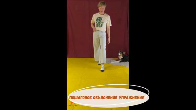 Онлайн вебинар "ЗАНИМАТЕЛЬНЫЕ ТРЮКИ" смотреть онлайн