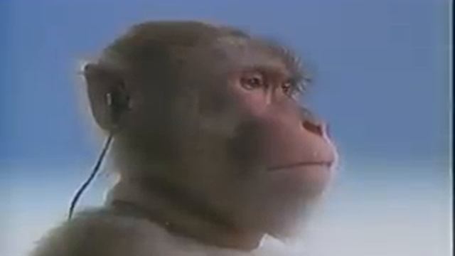 Vintage Old 1980's Sony Walkman Monkey Commercial смотреть онлайн