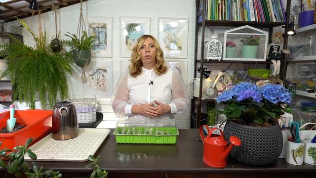 Посев самой пышно цветущей петунии смотреть онлайн