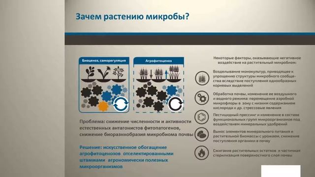 Экстрасол в Казахстане 2019