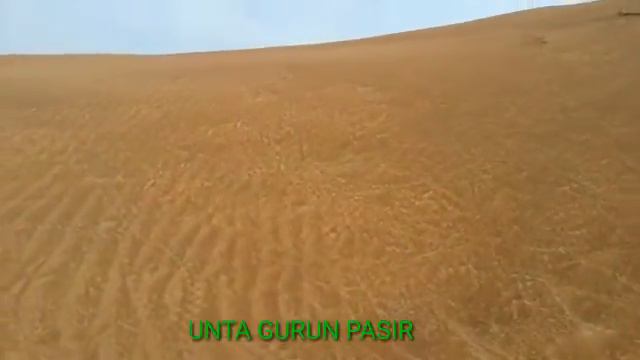 Gurun Pasir sambil musikan смотреть онлайн