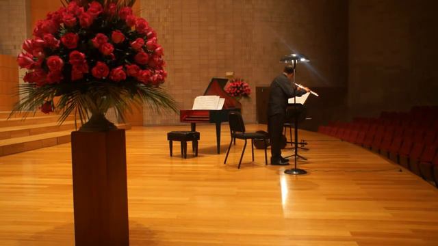 Georg Philipp Telemann (1681 - 1767) Fantasía para flauta sin bajo TWV 40:4 Nº 3 en Si menor смотреть онлайн