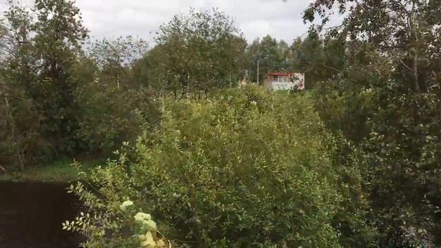 Зеленый Фронт: п. Мурино Ленинградская область слив отходов в р. Охта смотреть онлайн