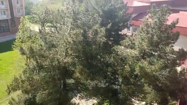 23.04.2023 Геленджик солнечный день. смотреть онлайн