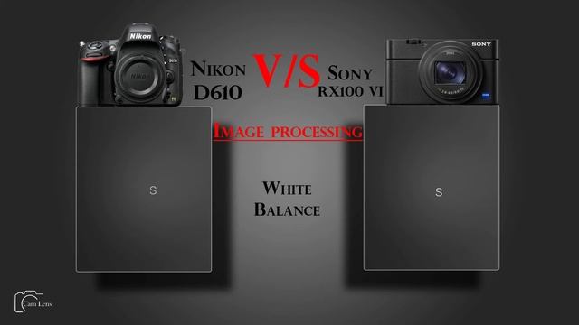 Nikon D610 vs Sony DSC RX100 VI смотреть онлайн
