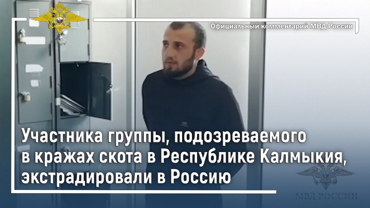 Ирина Волк: Участника группы, подозреваемого в кражах скота в Калмыкии, экстрадировали в Россию смотреть онлайн
