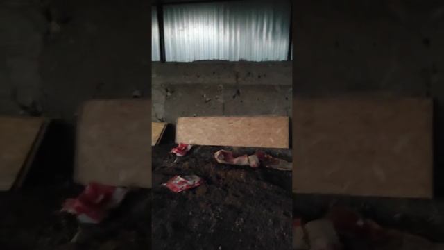 Строительство Ангара своими руками самый дешевый вариант смотреть онлайн