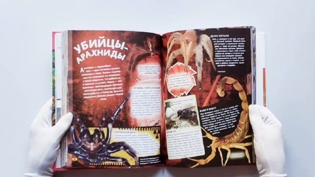 Животные. Книга юного эрудита смотреть онлайн