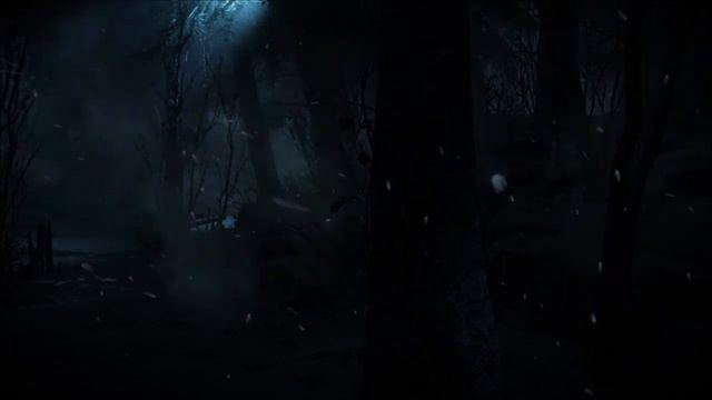 Until Dawn 💀 - Blackwood Pines Forest - ASMR Ambience смотреть онлайн