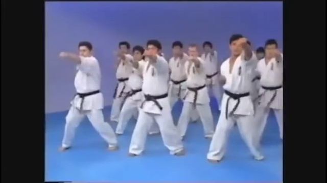 Kyokushin Warm Up + Kihon (English Audio Cut)