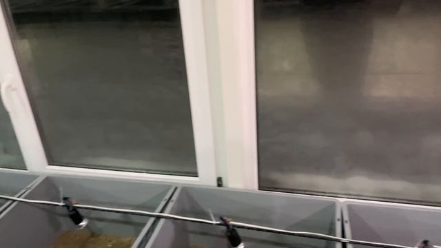 ОБУСТРОЙСТВО ОРАНЖЕРЕИ ДЛЯ РЕПТИЛИЙ смотреть онлайн