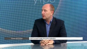 Какие сорта картофеля подходят для выращивания в Сибири?