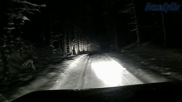 Сказочная тайга | Suarnalline taigu смотреть онлайн