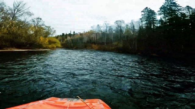 осенние зарисовки