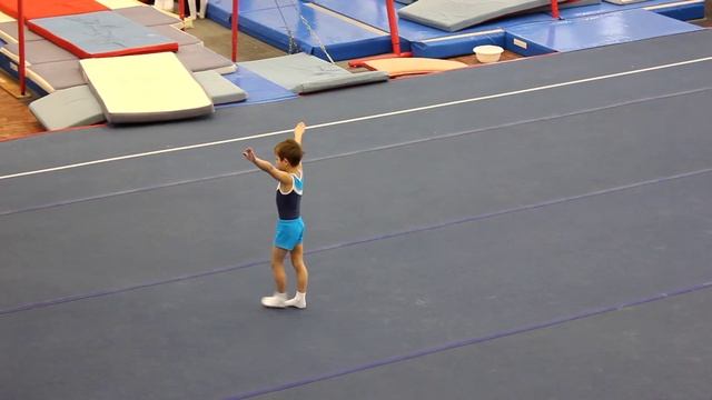 спортивная гимнастика вольные 1 юн. разряд смотреть онлайн