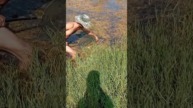 На рыбалке сырдарья смотреть онлайн