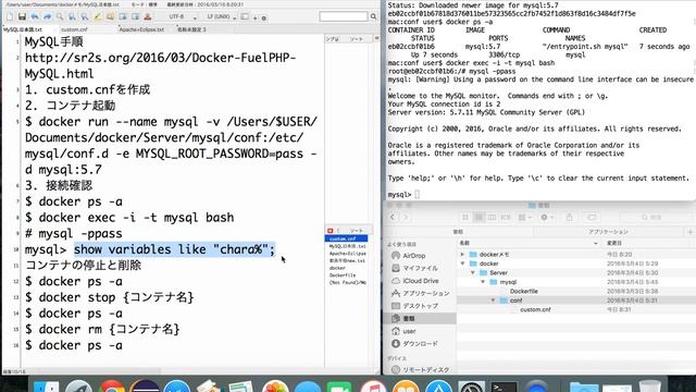 DockerでMySQL(UTF8)環境を構築 смотреть онлайн