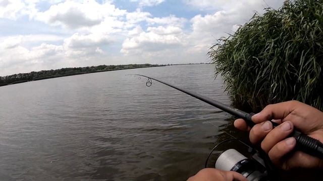 Монстры карпы атакуют наши бойлы. Ребята это был настоящий карпфишинг. Ловля карпа летом смотреть онлайн