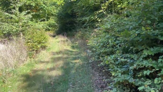 В Моршен на моноколесе смотреть онлайн