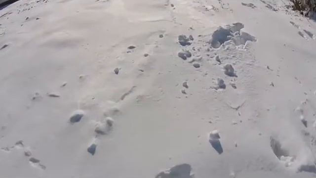 Амурский уголь -Разрез Северо Восточный смотреть онлайн