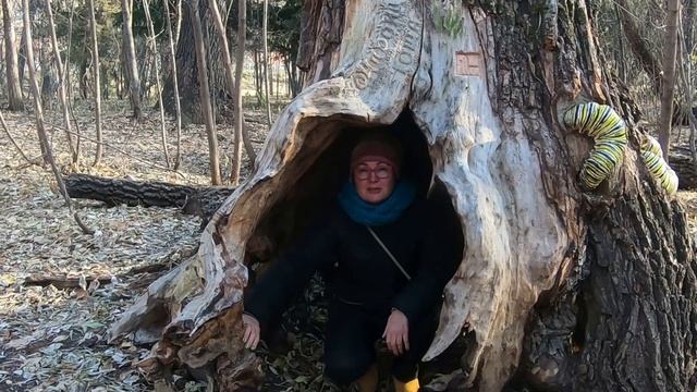 Как изменился парк Зеленый Остров за год.(Омск октябрь 2022) смотреть онлайн