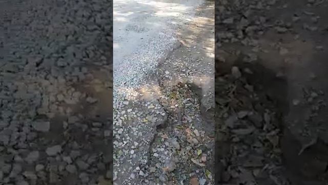 трасса Сураж-Вьюково. ремонт затянулся. Водители просят внести ясность, что происходит. смотреть онлайн