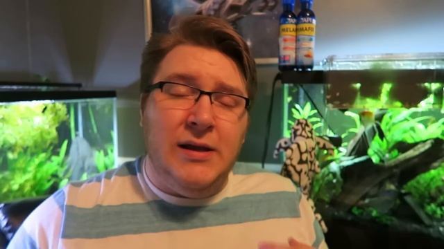 Melafix - Pimafix - Does it work? Treating sick fish - My Experiences | Bear Necessities смотреть онлайн