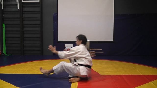 Укэми ваза. Ukemi waza смотреть онлайн