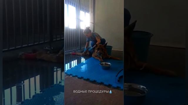 Майкл готов к выписке смотреть онлайн