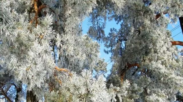 ЗИМНЯЯ ПРОГУЛКА смотреть онлайн