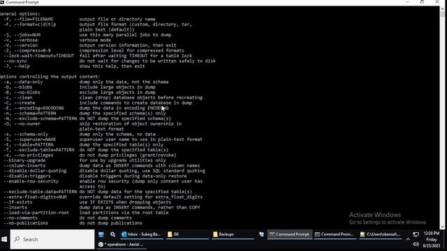 PostgreSQL| Lec-18 | Backup & Restore | Part 2 : What is pg dump utility. смотреть онлайн