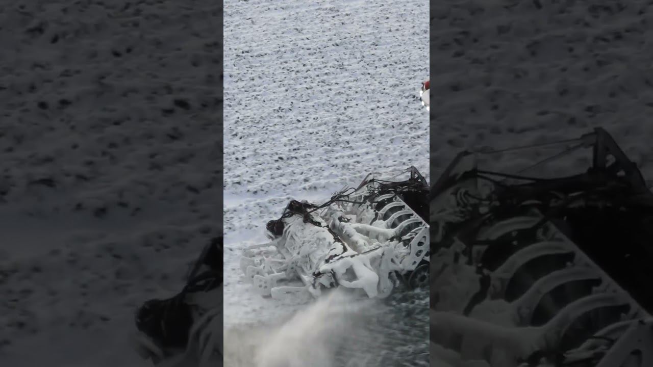 Экстремальная зимняя уборка сахарной свеклы Holmer Ropa Grimme extreme winter harvesting sugar beet смотреть онлайн