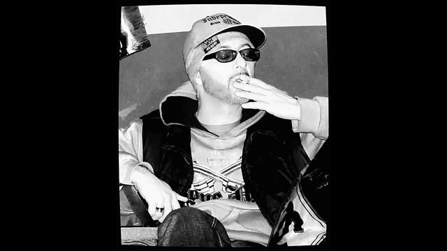 SHAVI PRINCI Afrensis (აფრენსის) ...