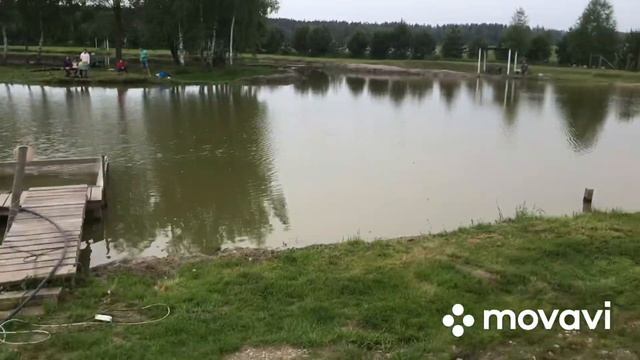 Зарыбление водоемов. смотреть онлайн