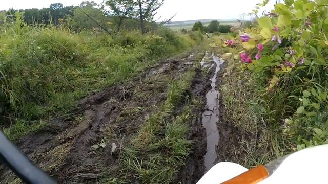 На мопедах по грибы. смотреть онлайн