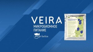 Напиток "Микробиомный коктейль + Смородиновый лист". История создания. Интересные подробности