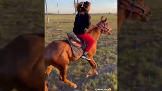 Как сестра Димаша Кудайбергена Раушан галопом скачет на лошади смотреть онлайн