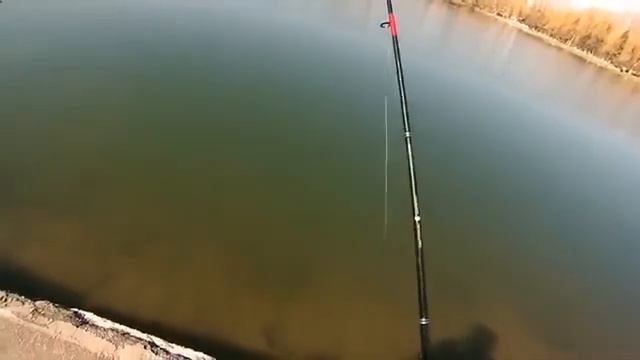 Как поймать рыбу удочкой смотреть онлайн