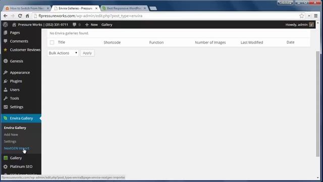 How to Switch From NextGEN to Envira Gallery in WordPress смотреть онлайн
