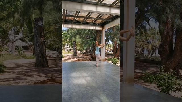 вариация 2х жемчужин из балета "конёк горбунок" par Eva Lubliner-Gerassimato смотреть онлайн