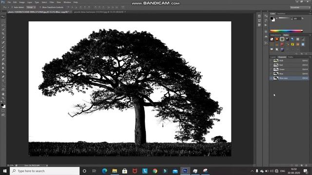 HOW TO REMOVE BACKGROUND FROM TREES IN PHOTOSHOP | PHOTOSHOP TUTORIAL смотреть онлайн