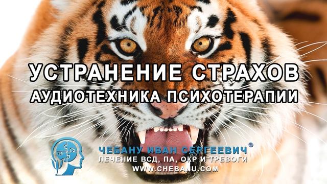 Техника устранение ВСД и тревожности на инстинктивном (телесном) уровне. смотреть онлайн