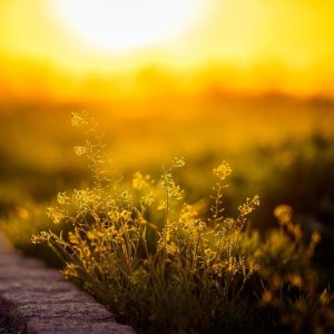 С Добрым утром и Хорошим Днем!