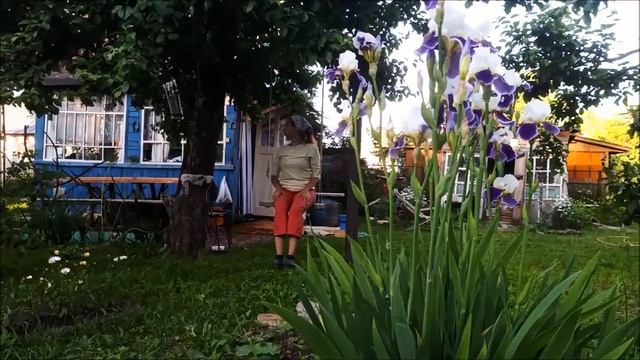 25 26 июня 2022 посадка арбузов и дынь в мешки и вёдра смотреть онлайн