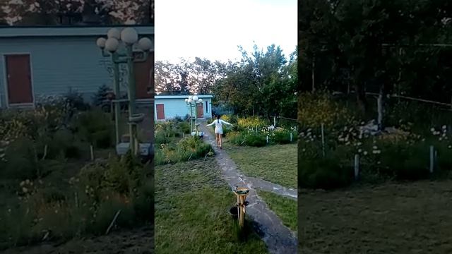 Дикие танцы лета, часть 6 смотреть онлайн
